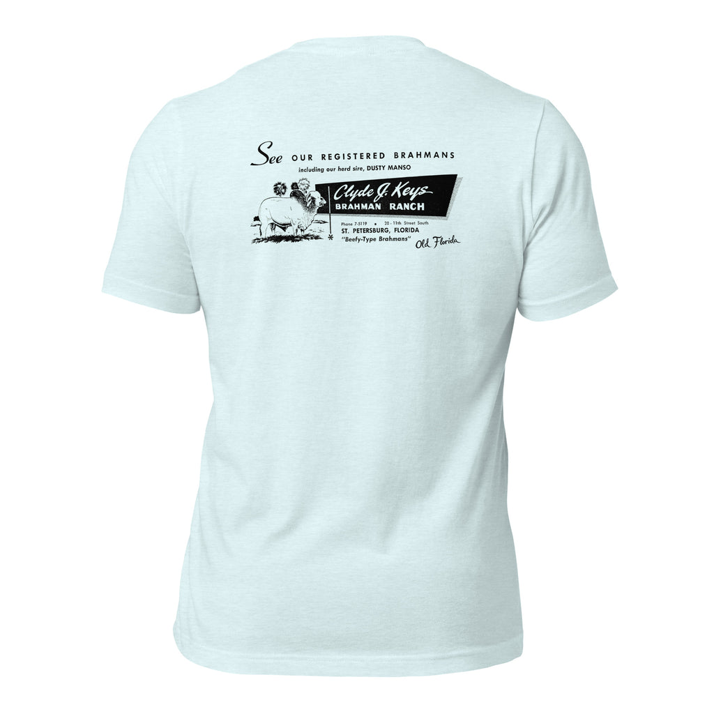 Clyde Keys heather ice blue tee — back graphic print — Pistolero Clásico