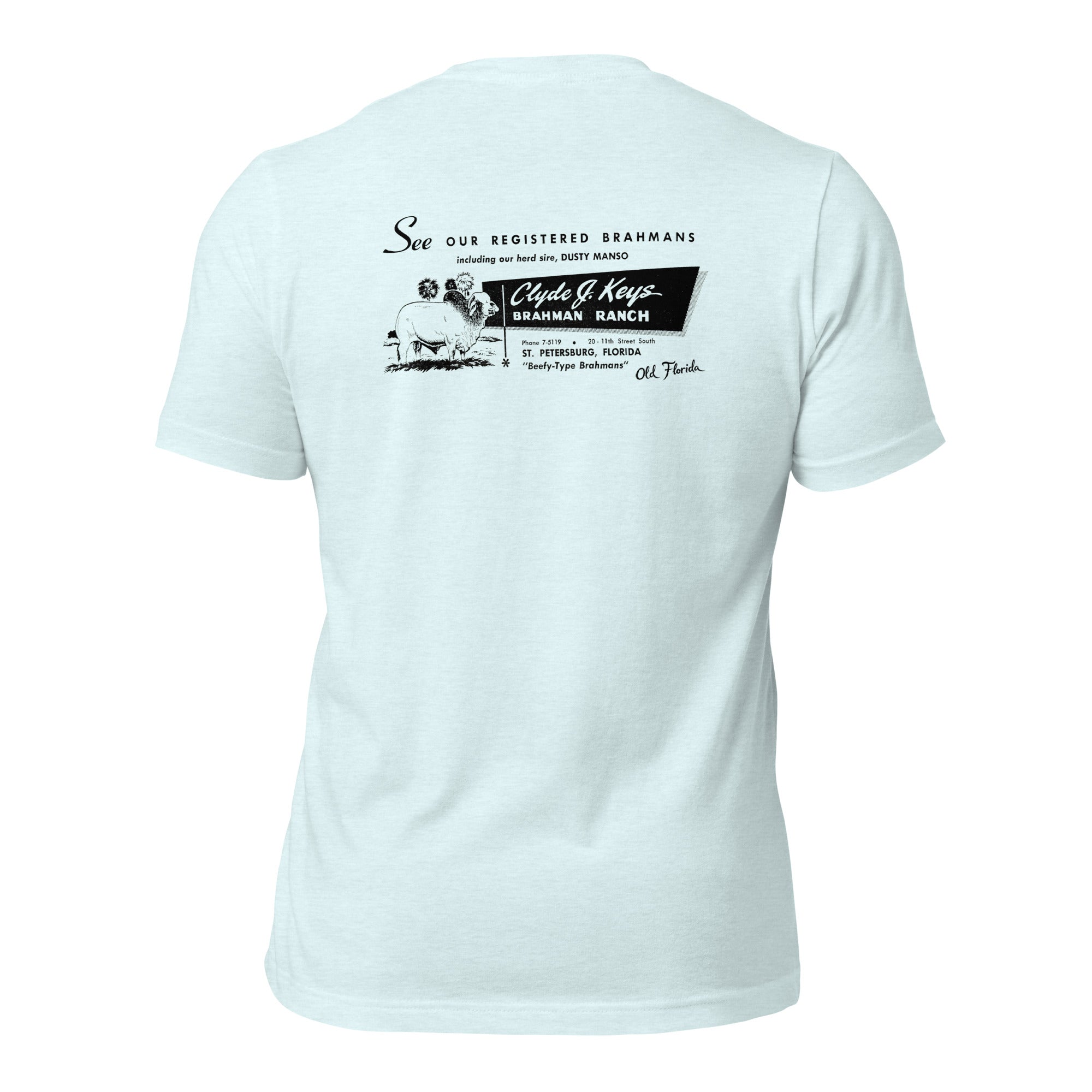 Clyde Keys heather ice blue tee — back graphic print — Pistolero Clásico
