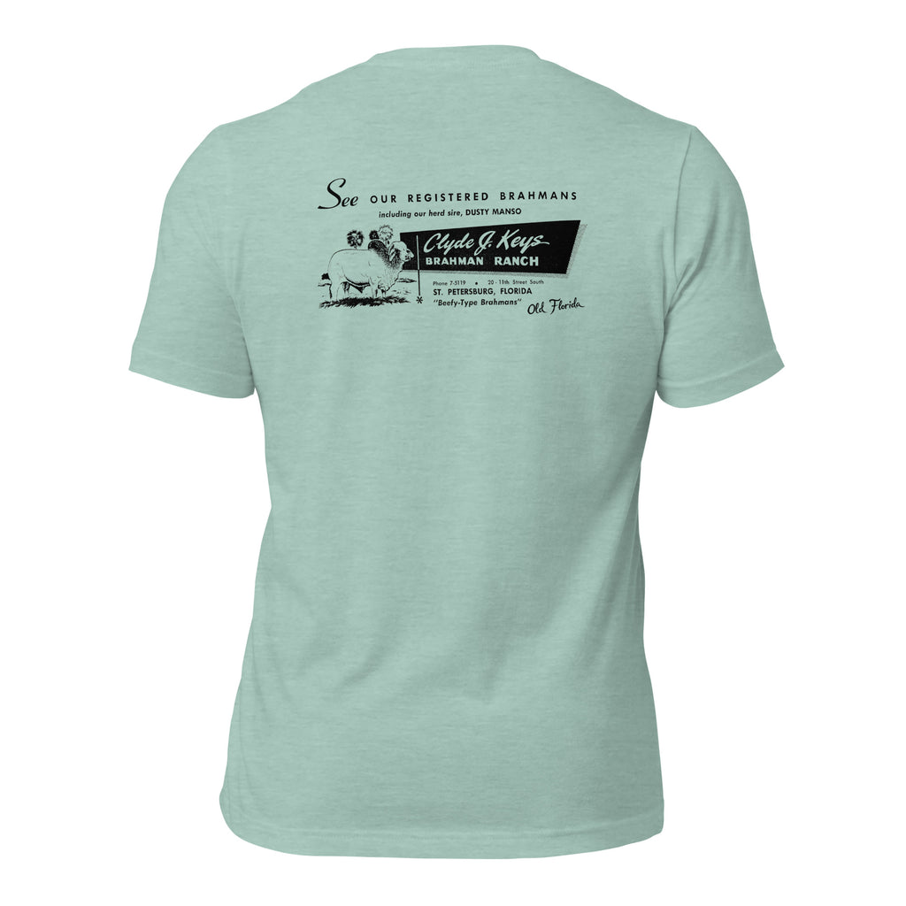 Clyde Keys heather prism dusty blue tee — back graphic print — Pistolero Clásico